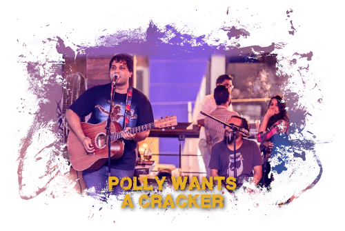 Band (Rock) – Polly Wants a Cracker